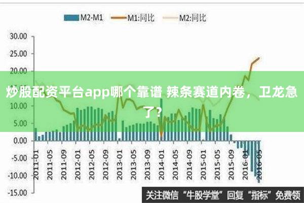 炒股配资平台app哪个靠谱 辣条赛道内卷，卫龙急了？