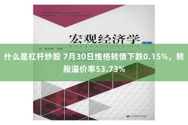 什么是杠杆炒股 7月30日维格转债下跌0.15%，转股溢价率53.73%