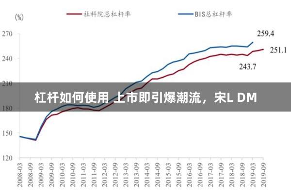 杠杆如何使用 上市即引爆潮流，宋L DM