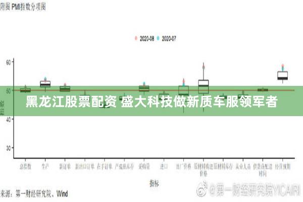 黑龙江股票配资 盛大科技做新质车服领军者