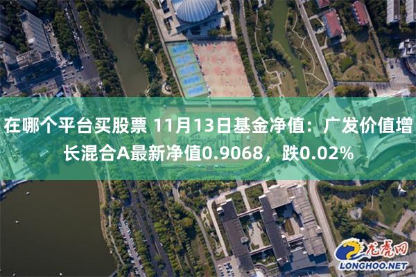 在哪个平台买股票 11月13日基金净值：广发价值增长混合A最新净值0.9068，跌0.02%