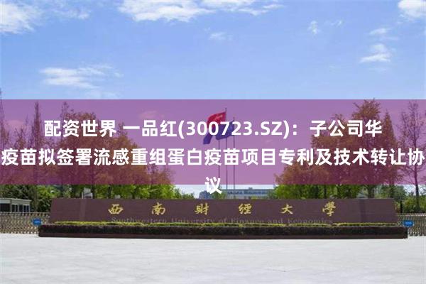 配资世界 一品红(300723.SZ)：子公司华南疫苗拟签署流感重组蛋白疫苗项目专利及技术转让协议