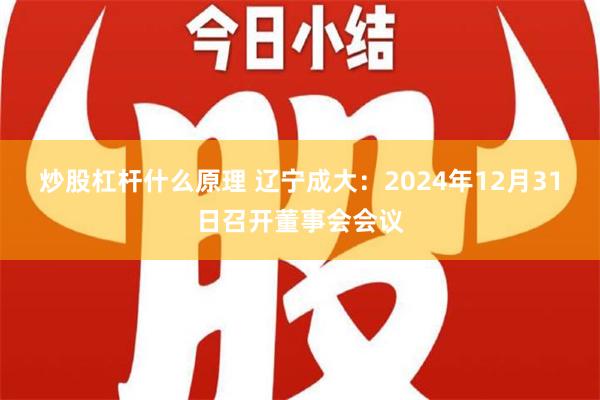 炒股杠杆什么原理 辽宁成大：2024年12月31日召开董事会会议