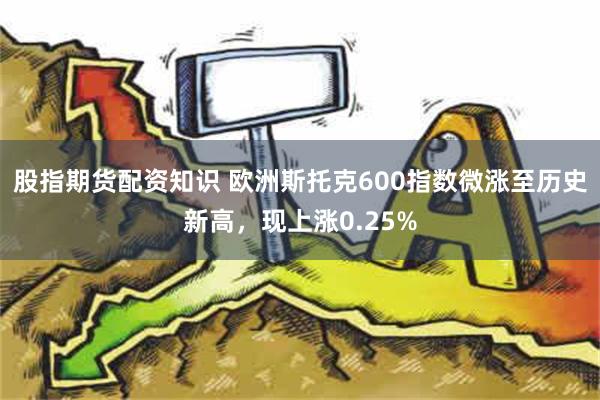 股指期货配资知识 欧洲斯托克600指数微涨至历史新高，现上涨0.25%