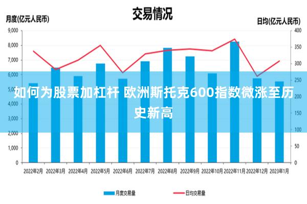 如何为股票加杠杆 欧洲斯托克600指数微涨至历史新高